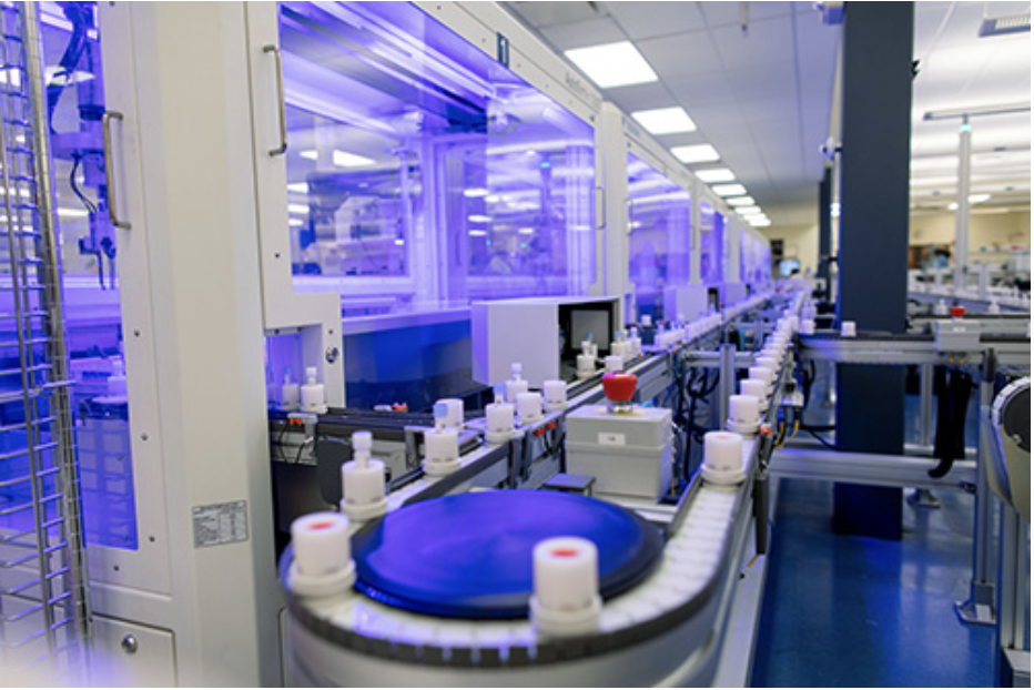 Screen Shot 2020-08-26 at 8.07.59 AM