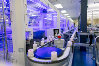 Screen Shot 2020-08-26 at 8.07.59 AM